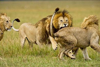 Switch 2发售一个月 超6成玩家对其非常满意