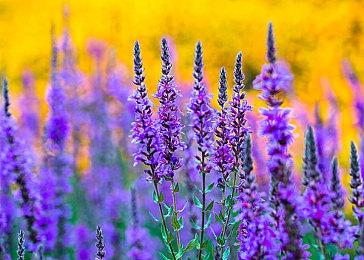 虚幻引擎5重现《上古卷轴5：天际》黑境场景效果