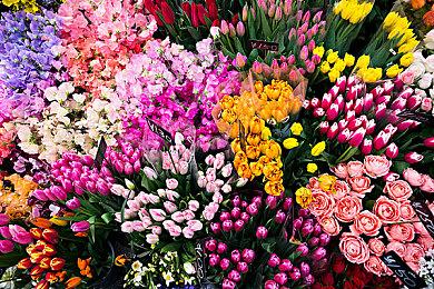 《宝可梦 Go》确认推出极巨化功能 第8世代宝可梦加入